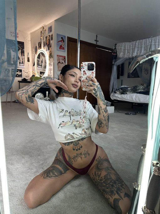 taylorwhitetv
