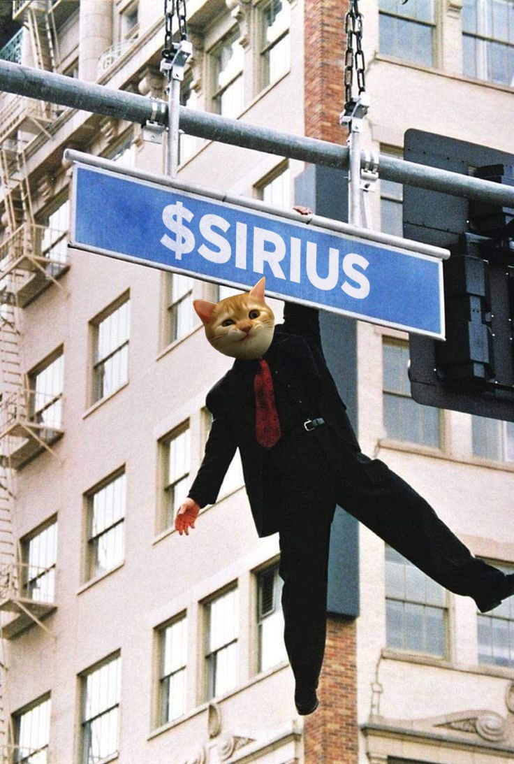 siriusfirstcat's tweet photo. spoke with satoshi https://t.co/68ZNeCxASX