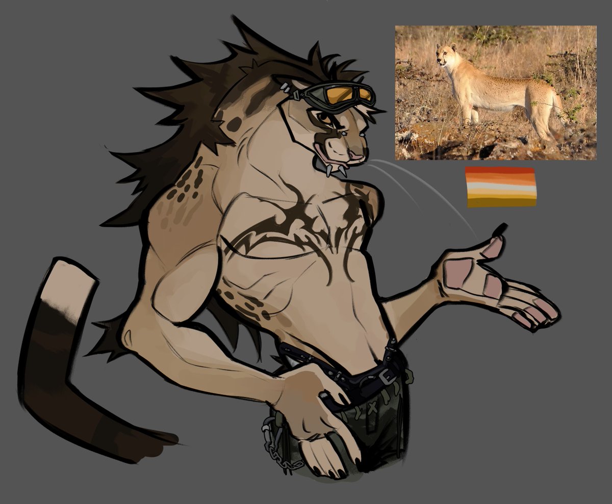 KumaCapra 𓃵 working! tweet media