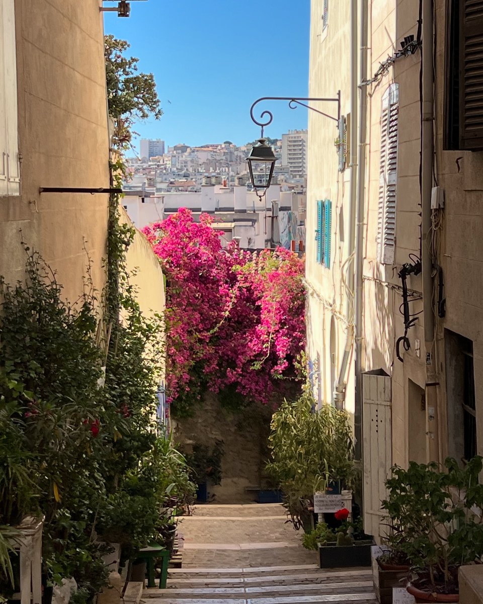 Collette tweet media