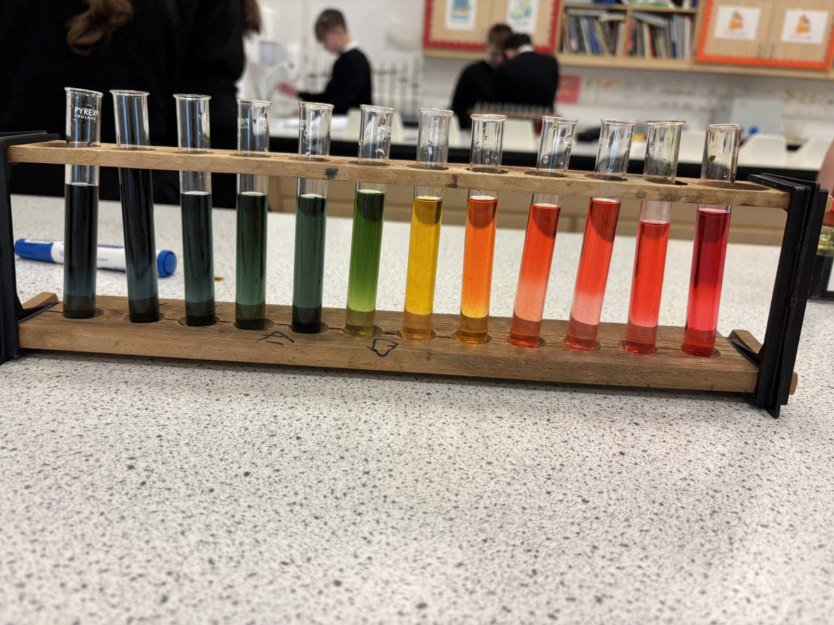 Miss Ball tweet media