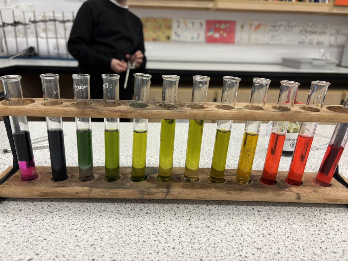 Miss Ball tweet media