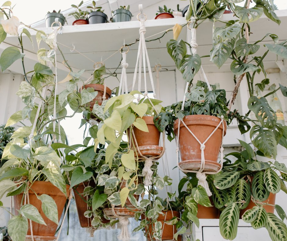 Monterey Place Apts tweet media