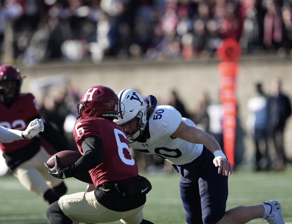 Ben Mann tweet media