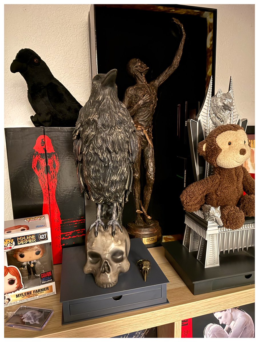 🌈 Tof 2 Lyon 🐻 tweet media