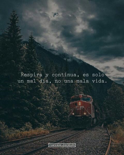 Elefanty1's tweet photo. #avanti https://t.co/hoe2fAWhSs