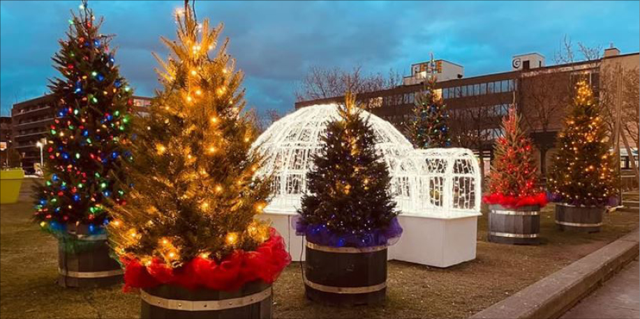 #MTL_VSP 📧 #onjase de la nouvelle exposition à VSP, de participation citoyenne et même d’aide et de ressources aux locataires, tout cela, et bien plus dans notre dernière infolettre! Consultez-la! bit.ly/3ZsM5Y9