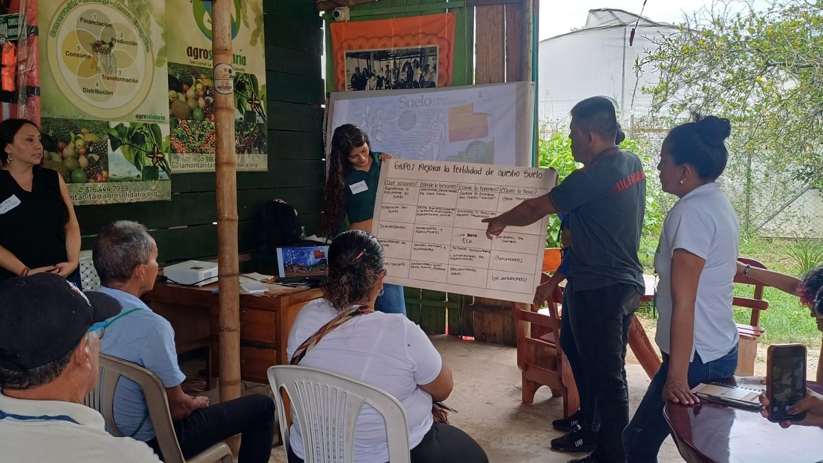 Explora cómo un grupo de investigadoras de la @earJaveriana en <a href="/UniJaveriana/">Pontificia Universidad Javeriana</a> <a href="/neidyclavijo/">Neidy Clavijo Ponce</a> <a href="/LuzARodriguezR/">Luz Rodríguez</a>  abordan la sostenibilidad agrícola del cacao y la ganadería para el #desarrollorural en los municipios de La Montañita y Belén de los Andaquíes, en Caquetá. Conoce además