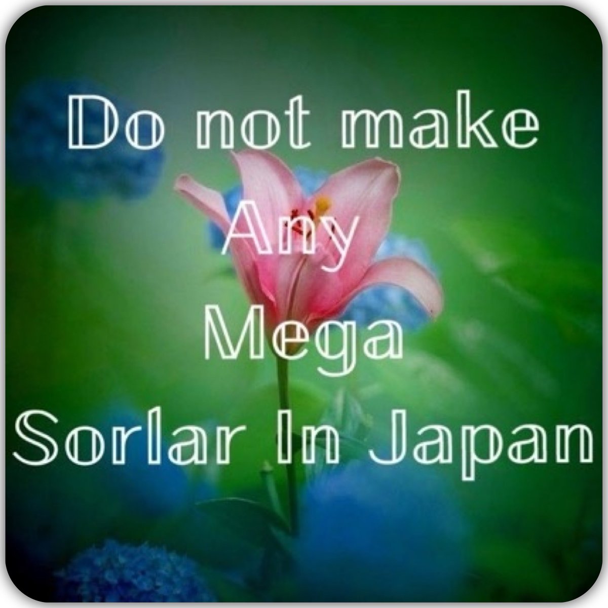 _KaiOkula_'s tweet image. プレハブ小屋や資材…上空から見ると工事の準備が　世界自然遺産・知床　太陽光パネル設置中止求め4万8000人分の署名提出　　観光船沈没受けた"携帯基地局"計画　(北海道ニュースUHB)
#Yahooニュース
news.yahoo.co.jp/articles/a2bbe… 
#AntiMegaSolarPanel
#メガソーラー反対
＃反メガソーラー