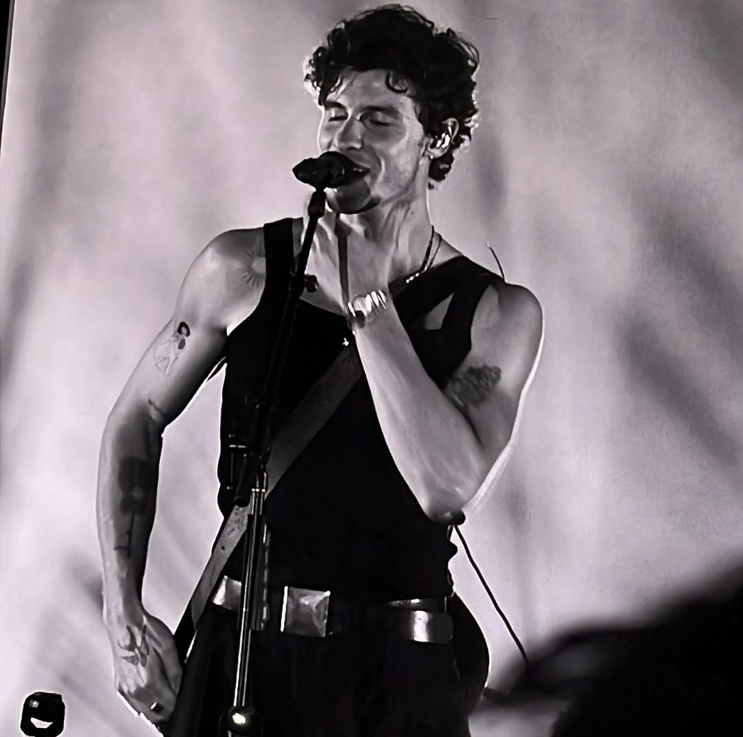 Shawn Mendes is art.