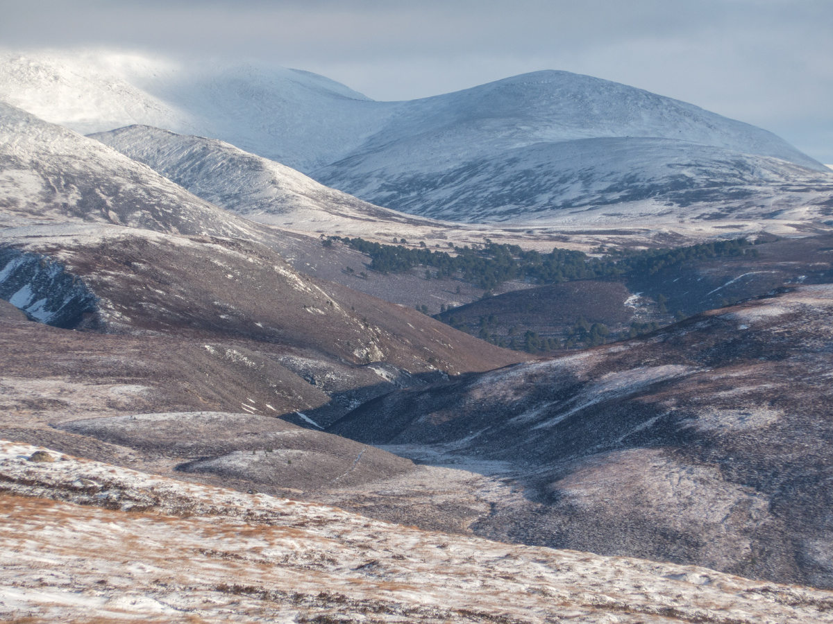 moab_in's tweet photo. 22nd Nov, Also took the bc xc skis for a walk up Sgor Dubh and Sgor Mor, a bit too optimistic, thin cover there only allowed a token slide. Great views as always though and some nice snow sculpture in places. 1/2 #cairngorms https://t.co/DaCoj1eZv8
