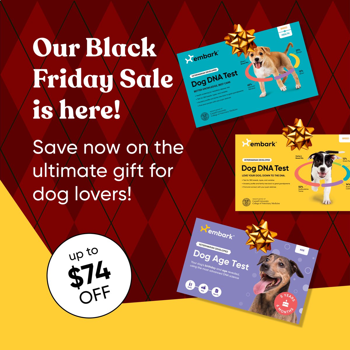 🐾🎉 Black Friday Deepest Discount Alert! 🎉🐾

Give your dog the gift of discovery with our Dog DNA Test—now up to $74 OFF! 🧬✨ Don’t miss out—this deal won’t last long! 🏃‍♂️💨 bit.ly/40DMIiS