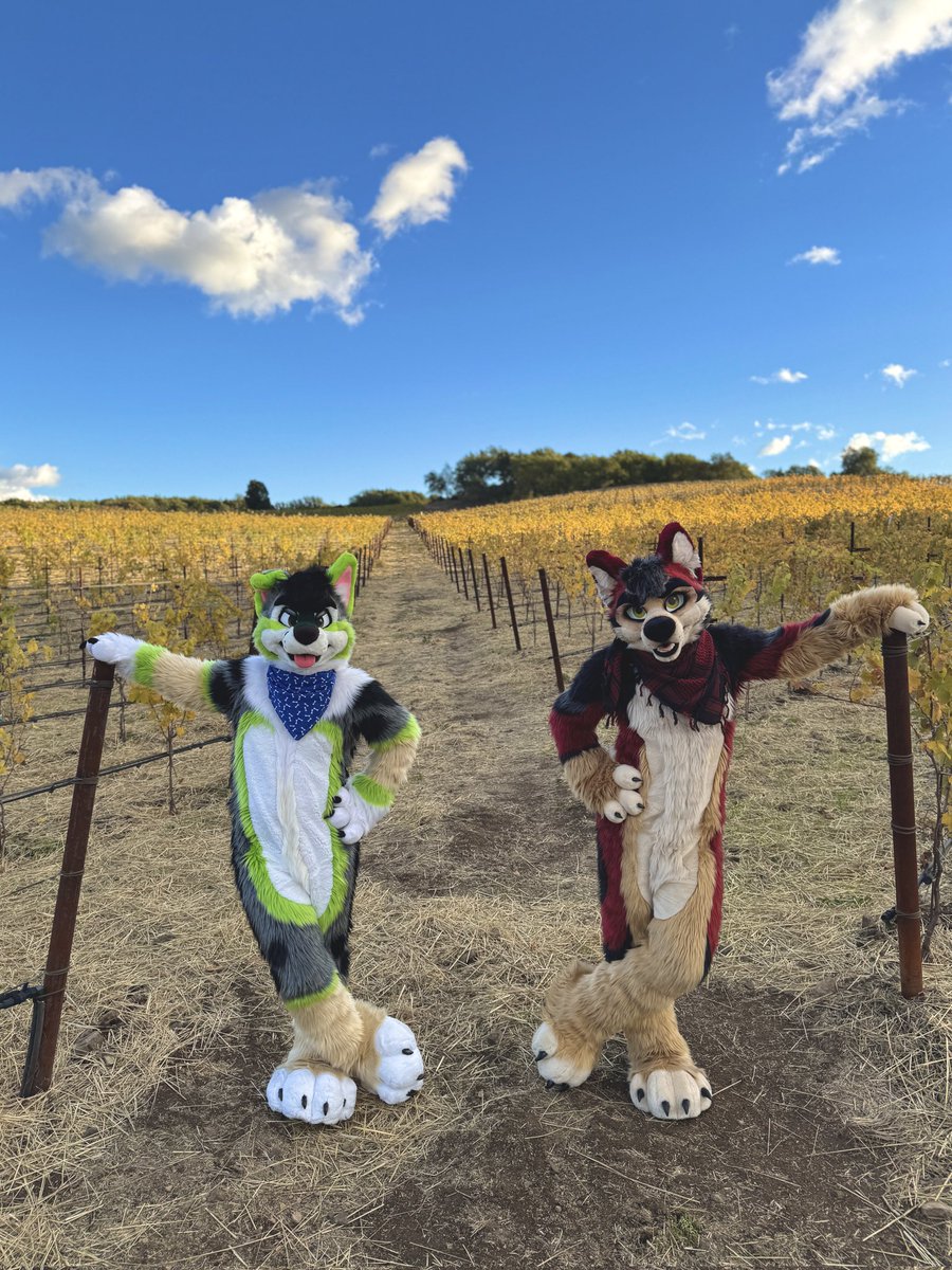 We've come for your wine. #FursuitFriday 

🍅: <a href="/ASpicyTomato/">Tom</a>