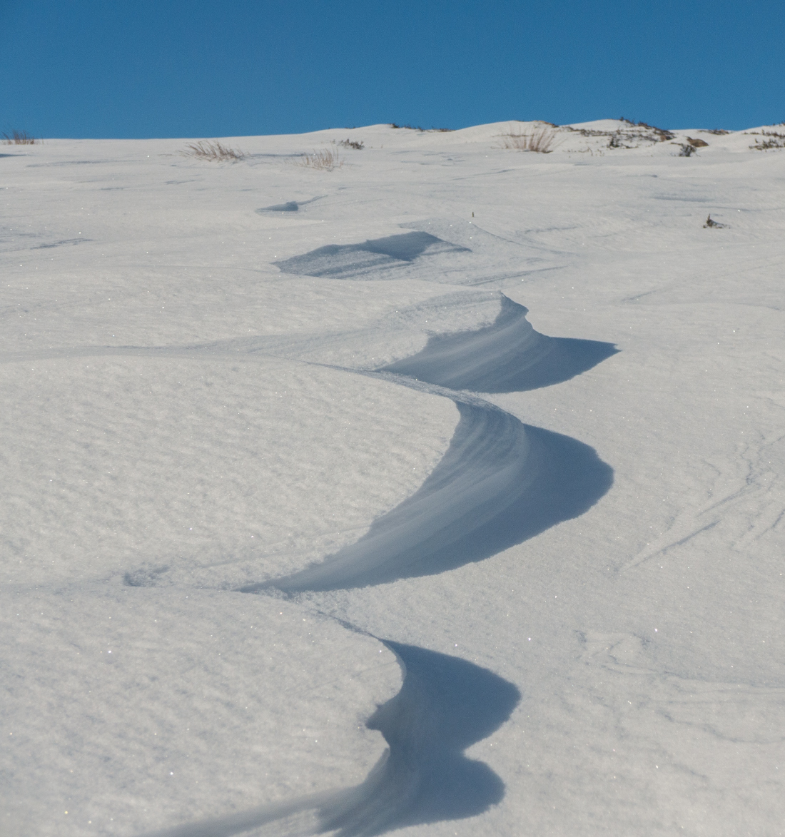 moab_in's tweet photo. 22nd Nov, Also took the bc xc skis for a walk up Sgor Dubh and Sgor Mor, a bit too optimistic, thin cover there only allowed a token slide. Great views as always though and some nice snow sculpture in places. 1/2 #cairngorms https://t.co/DaCoj1eZv8
