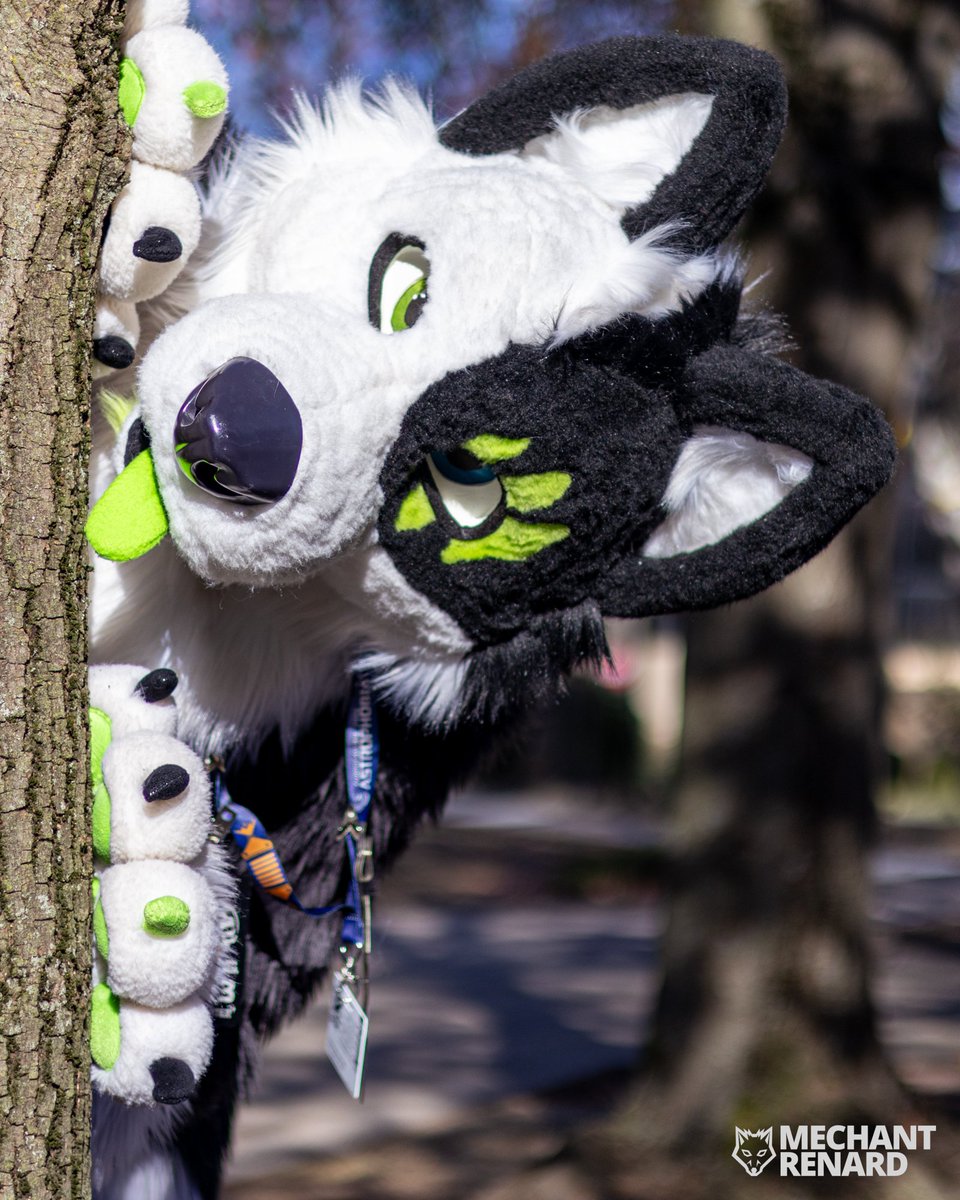KybaCWC's tweet image. Rawrrrr
It's friday !!! Time for week-end !! Time for fun ^^
#fursuit #FursuitFriday #furpoc2024
🪡 me ^^ -CwC-
📸 @mechantrenard
