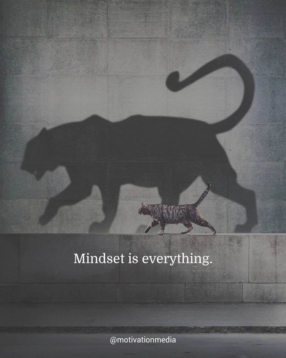 Mind Essentials (@mind_essentials) on Twitter photo 
