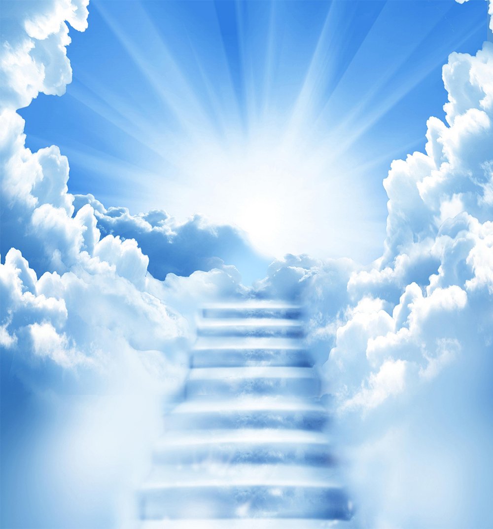 MeinGottNiles's tweet image. &quot;Hey God, have a second?&quot;

&quot;For my favorite guy from my favorite country on my favorite planet orbiting my favorite star in my favorite galaxy? Absolutely.&quot;

&quot;I need you to smіte someone...&quot;