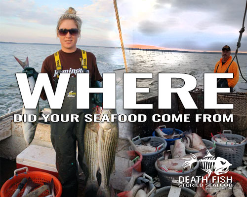 DeathFishOne's tweet photo. WHOA! that was super Awesome!
-Team #Seafood Supporting these guys!
https://t.co/xw26qnyMHW #SmallBusinessSaturday Please take a minute to include  the Working Watermen who are each a #SmallBusiness who supply our native, seasonal seafood from small scale fisheries in our coastal regions