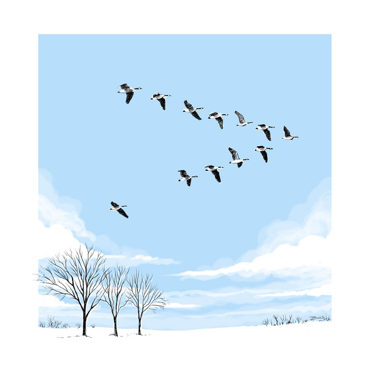 Ian Bossons tweet media