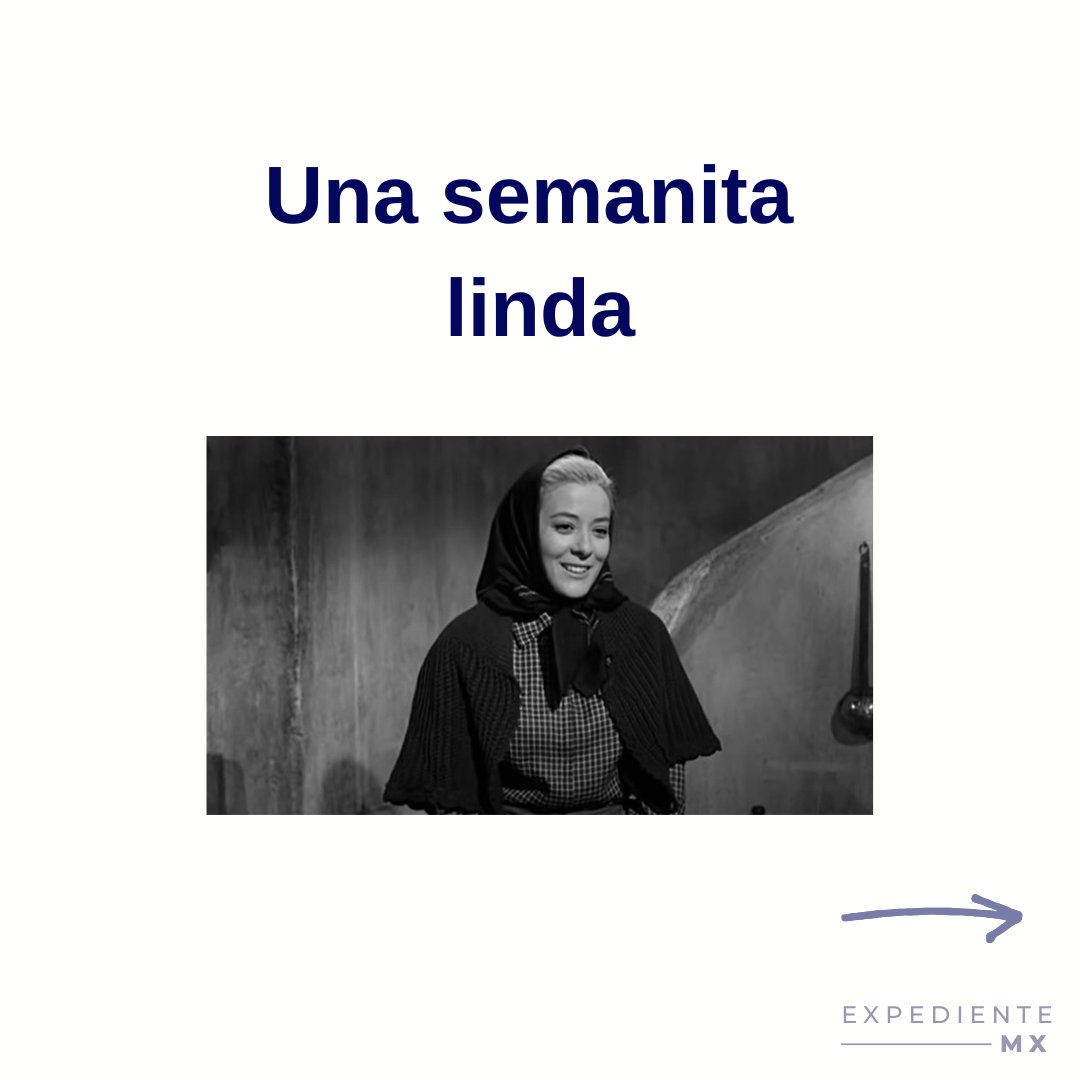 Exp. MX tweet media