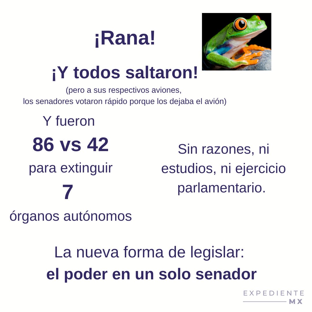 Exp. MX tweet media