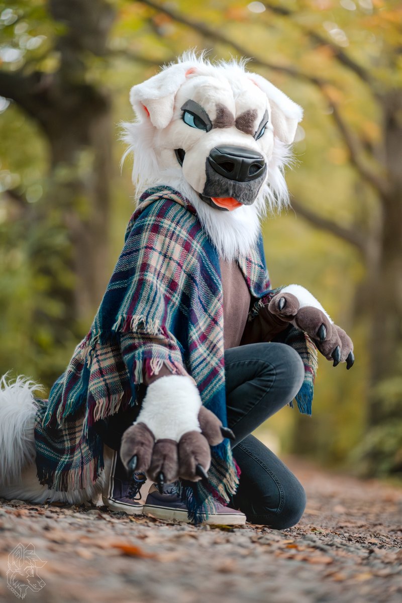 Something for #FursuitFriday 

📷 <a href="/vlaaacek/">VlaceK</a>
🪡 @LomonosovFur