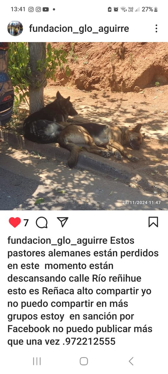 Viña, Reñaca Alto, si los buscan estaban en calle Riñihue Reñaca Alto 🙏🙏🙏