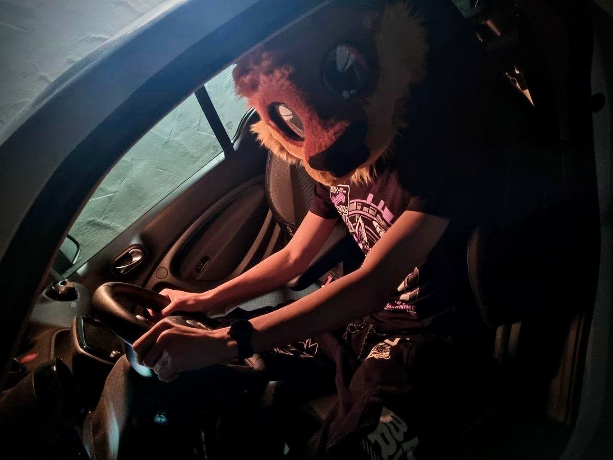 Im gonna drive to MCs, you comin'? :3c

📸<a href="/Cha2e_the_AcE/">AcE🍊</a>

#FursuitFriday