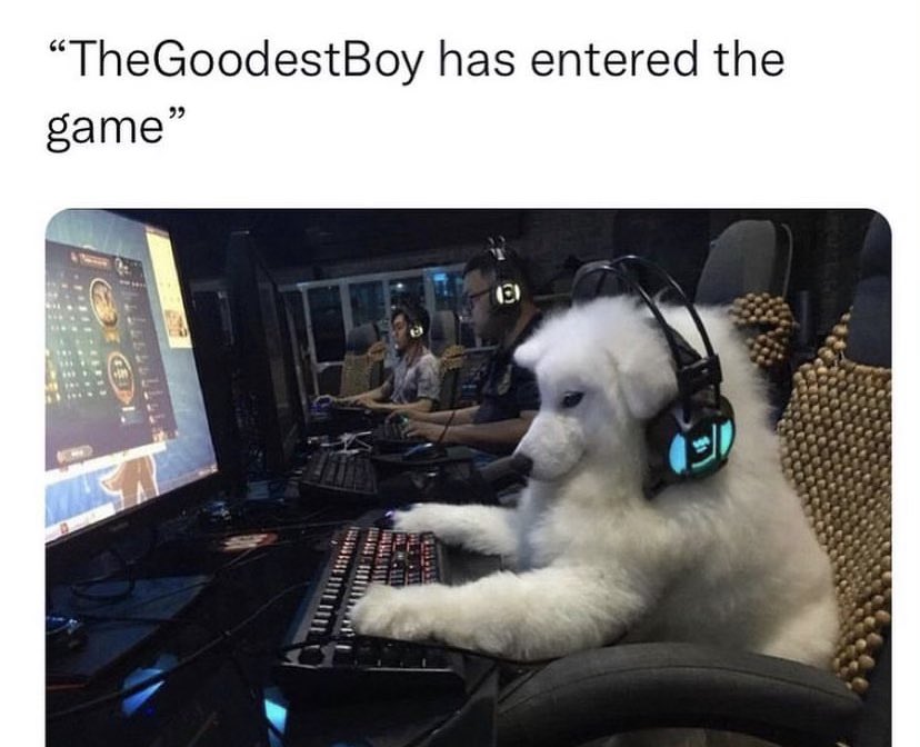 SpillTheMemes's tweet image. 😂