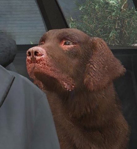 Tammy Kilenbiches tweet media