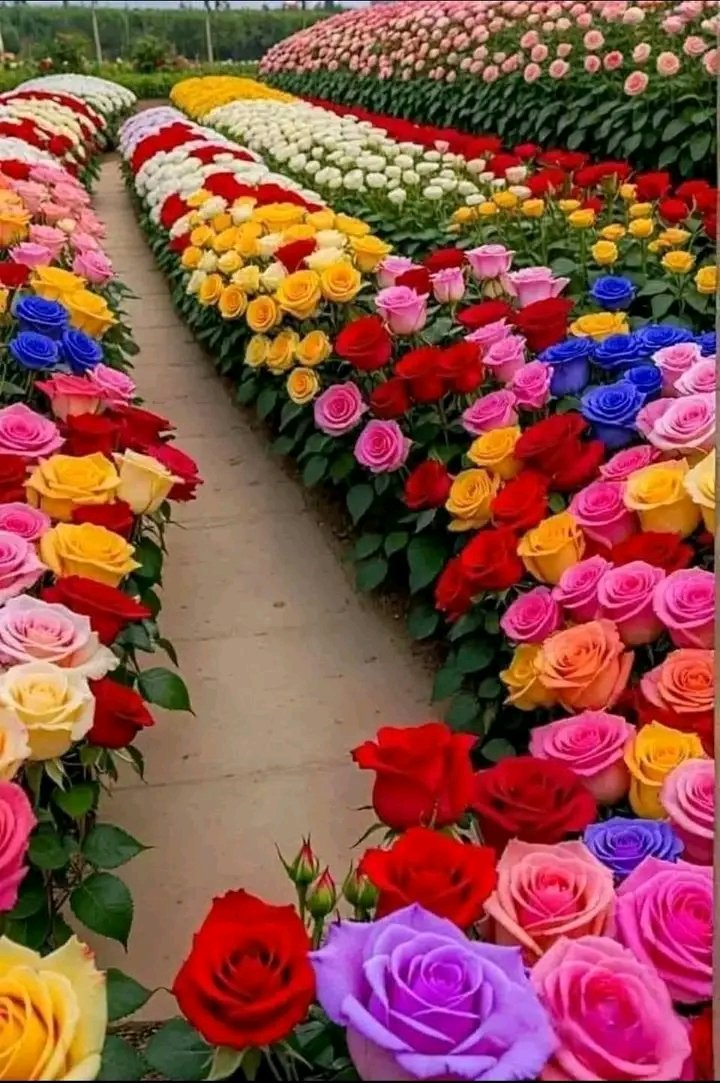 celiabatalla8@gmail.com (@celiabatalla20) on Twitter photo 