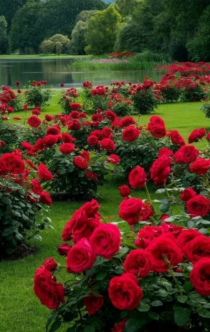 celiabatalla8@gmail.com (@celiabatalla20) on Twitter photo 