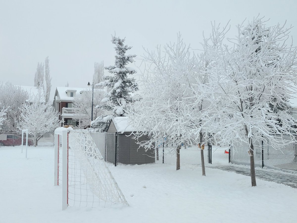 David tweet media