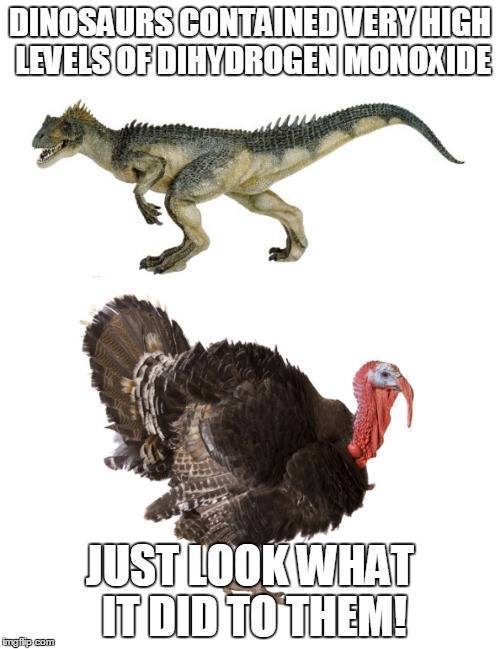 Don't be a jive turkey!
