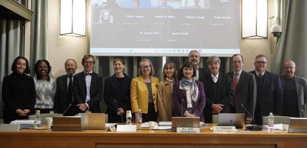 Grupo de trabajo de UNIDROIT.