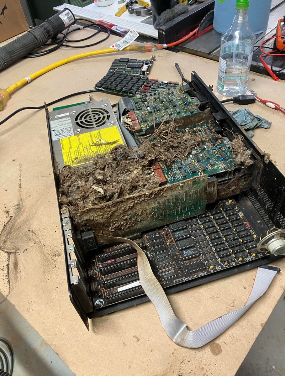 Early IBM 5150 prototypes used a mouse infestation to insulate critical components.