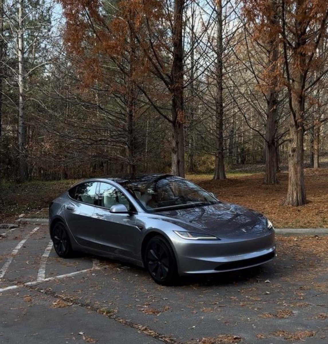 Nic Cruz Patane tweet media