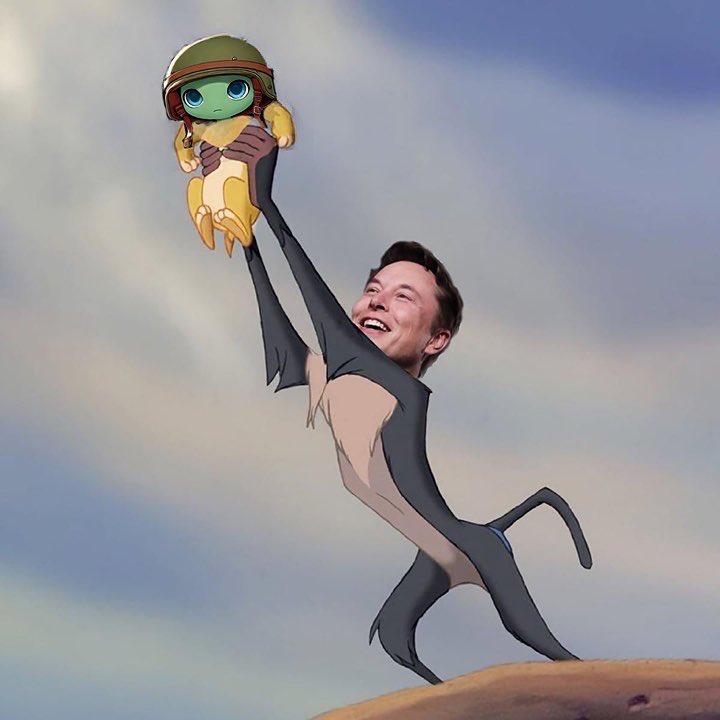 <a href="/cb_doge/">DogeDesigner</a> TERRY!!!