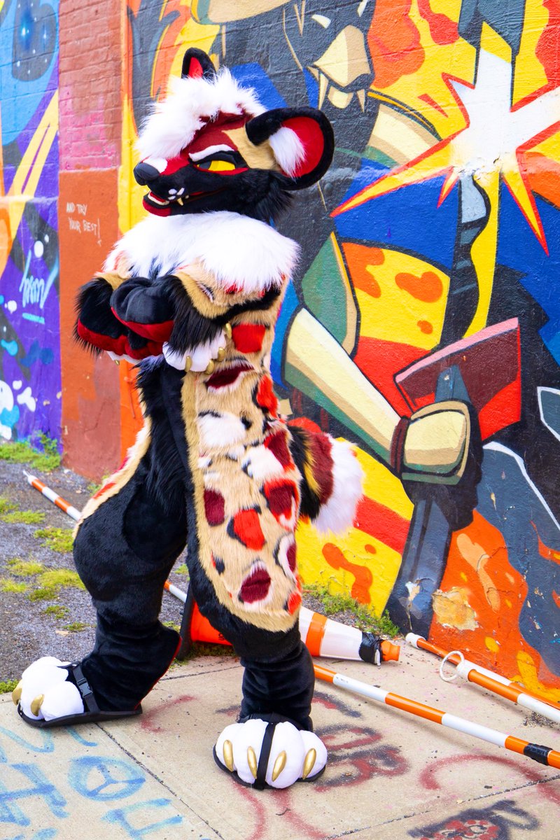 I’m shining bright~ 

📸: <a href="/kleekaiihusky/">KLEE KAII 🔜 MP</a> 
#fursuitfriday