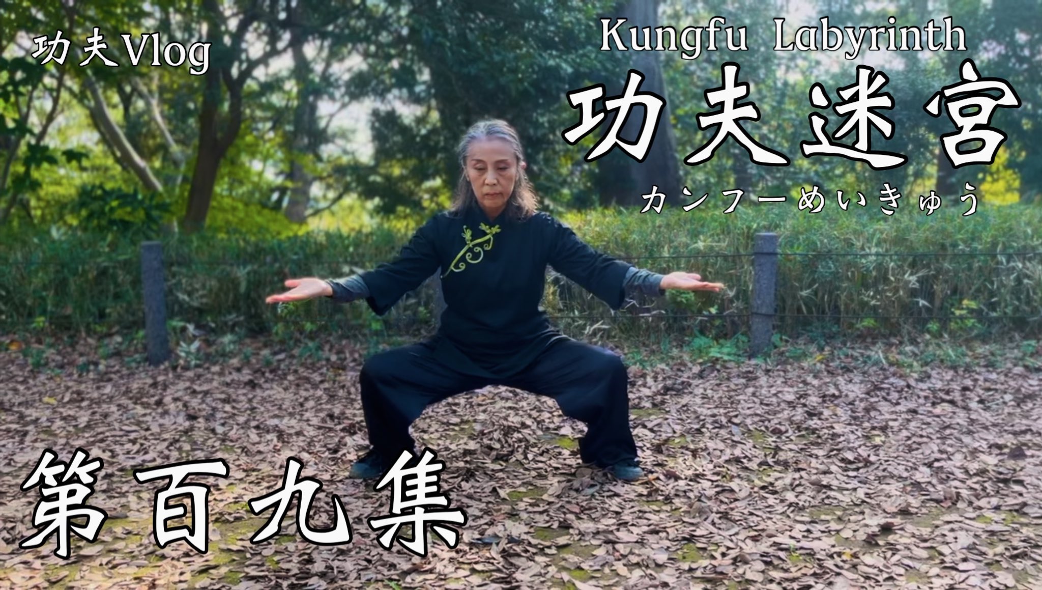 少林紅拳 中国の体育と健康シリーズ 中国武術 中国拳法 カンフー