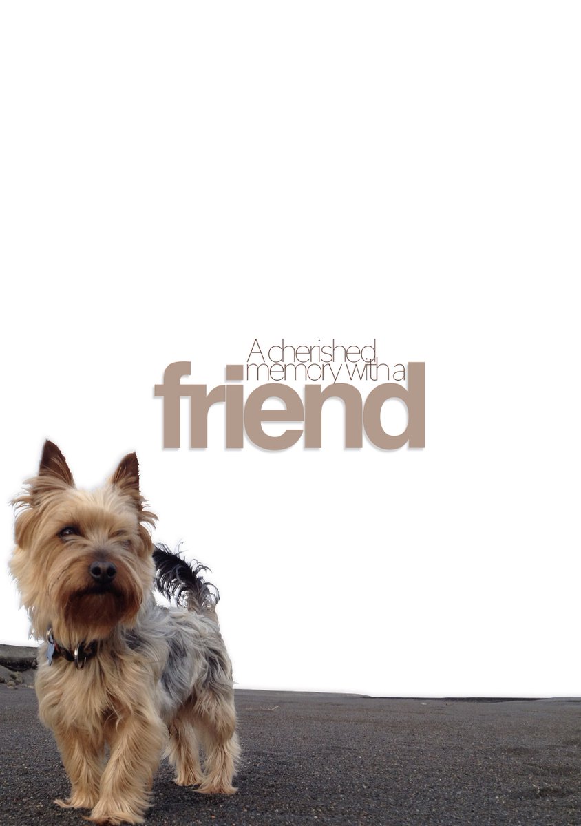 Mani, our dog, was a very dear friend for fifteen years and brought us joy.