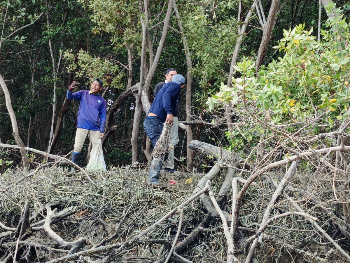 WildAid Latinoamérica tweet media