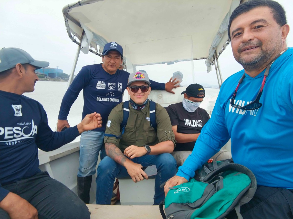 WildAid Latinoamérica tweet media