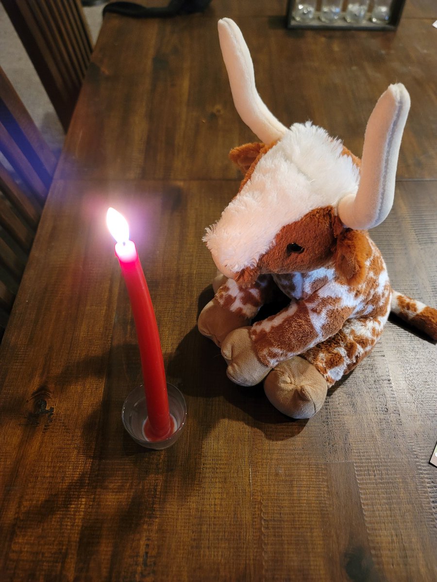 Jul_Constantin's tweet photo. Let's burn those red candles tonight, #Longhorns! 🤘😍 #traditions #hookem https://t.co/p3NkYuf4RW