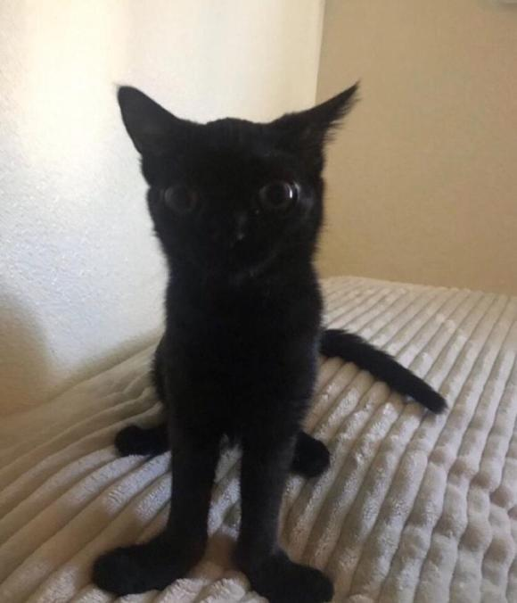 𝑲𝒆𝒚.✰ tweet media