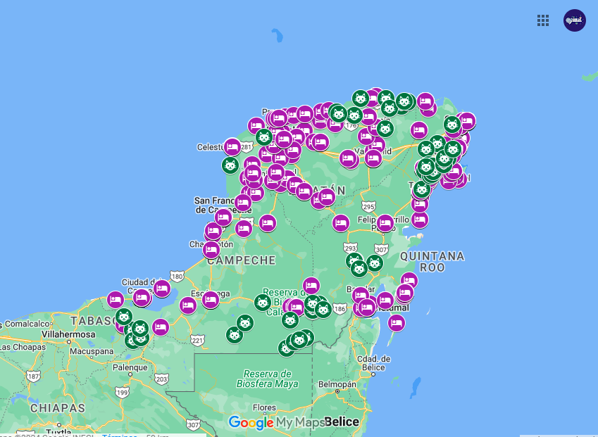YoAmoaLaCiencia's tweet photo. El costo del turismo: cómo el crecimiento hotelero amenaza a los jaguares en la ruta del Tren Maya 

El crecimiento hotelero asociado al Tren Maya está teniendo un impacto significativo en el hábitat del jaguar (Panthera onca). 

Esta especie se ha visto afectada por la expansión urbana y la deforestación.  

A lo que se le sumó la construcción del Tren Maya que ya ha provocado efectos negativos en los ecosistemas locales.

La construcción de hoteles y la infraestructura necesaria para apoyar el turismo masivo están provocando la destrucción de áreas naturales vitales para los jaguares.

Estas áreas son cruciales no solo para su alimentación y reproducción, sino también para mantener su territorio y evitar conflictos con otras especies.

El crecimiento hotelero lleva a una fragmentación del hábitat, lo que obliga a los jaguares a desplazarse a través de terrenos cada vez más reducidos y peligrosos.

Esto aumenta el riesgo de accidentes debido al cruce de animales en zonas intervenidas por humanos y limita su capacidad para cazar y establecer territorios seguros.

Además, el impacto del crecimiento hotelero asociado al Tren Maya provoca que los jaguares sean desplazados de su territorio y que estén vulnerables al tráfico de especies.

Destacamos que no todos los hoteles están registrados.

Dado que algunos están en construcción y otros, por su tamaño, son considerados hostales o casas de huéspedes.  

Algunos hoteles de empresas transnacionales tienen registro como centros de diversiones, spas, resorts, clubes u otros términos para evadir responsabilidades con las leyes mexicanas.  

Se debe considerar que la infraestructura hotelera también incluye alojamientos en casas particulares mediante aplicaciones, es decir, la renta de casas por períodos vacacionales.   

Las cuales no tienen un control ambiental.

Te comparto un mapa con los registros de actividad de jaguares en grado de investigación que se ven comprometidos con el crecimiento hotelero en la ruta del Tren Maya.👇