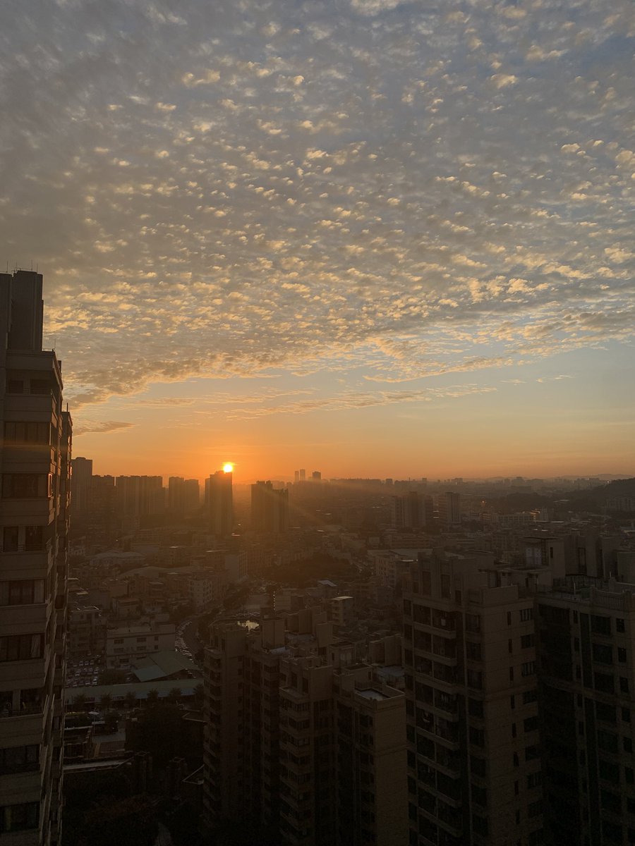 Qi Yang tweet media