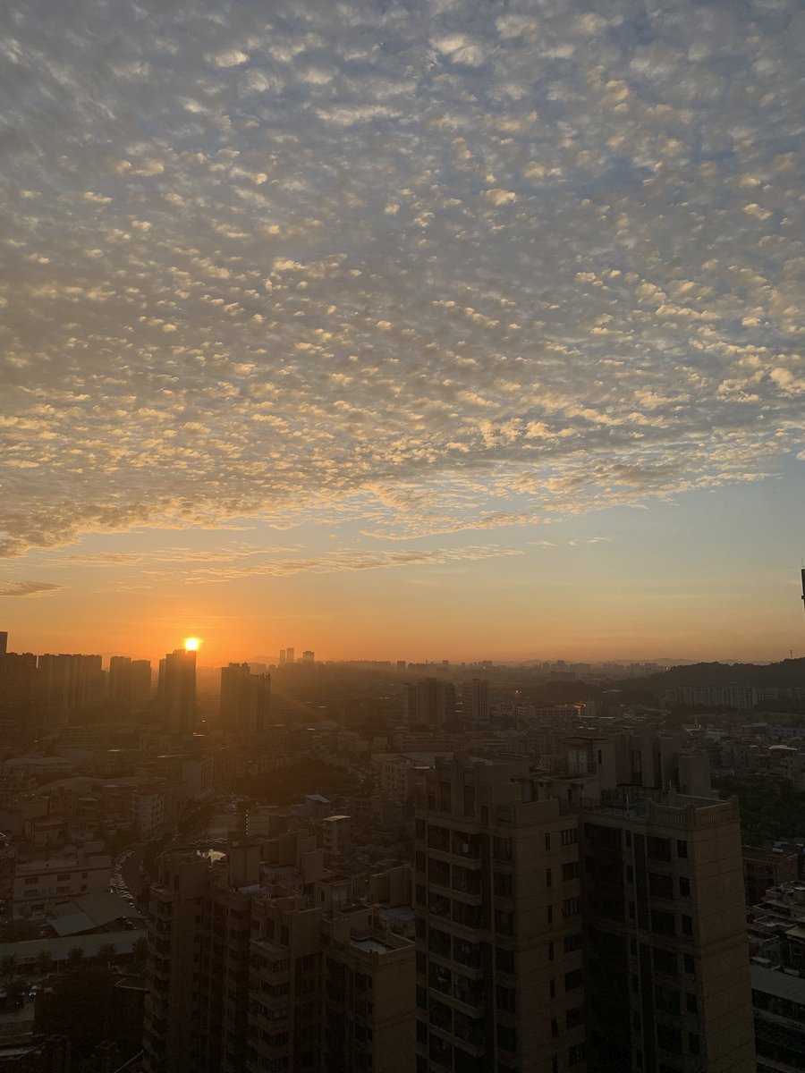 Qi Yang tweet media