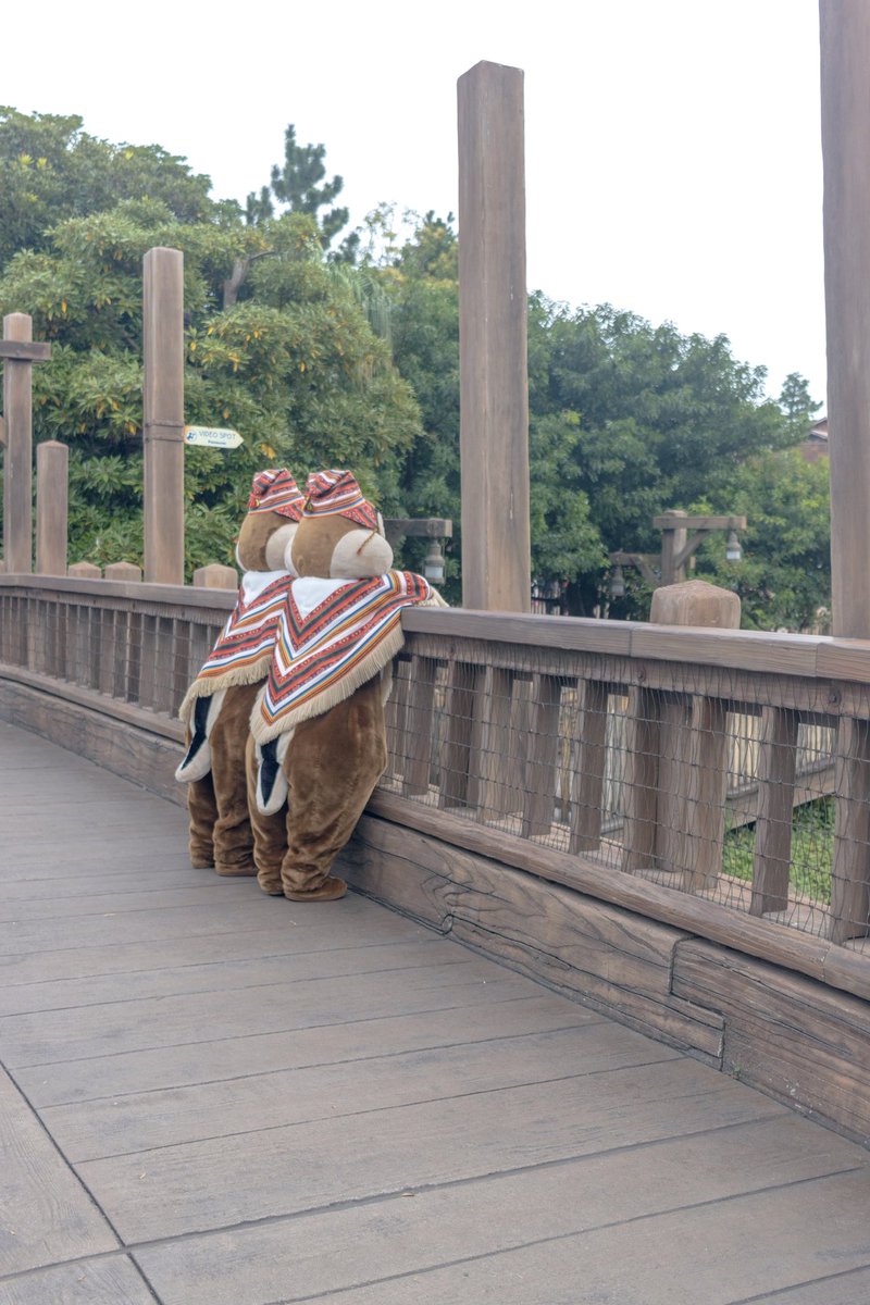 何が見えるのかな👀