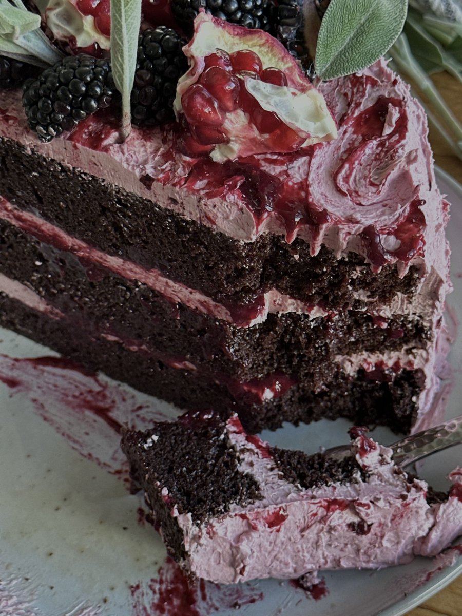 theclovecoterie's tweet photo. A late autumn love letter to blackberries https://t.co/tv64su8e6B